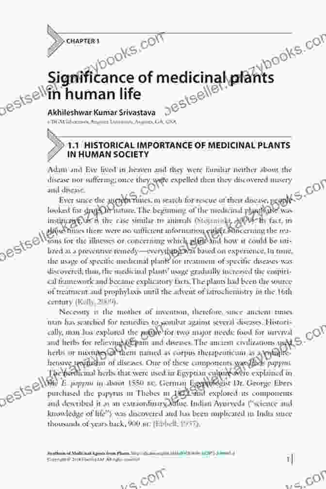 Historical Essay On The Use Of Medicinal Plants 100 Plants That Heal: The Illustrated Herbarium Of Medicinal Plants