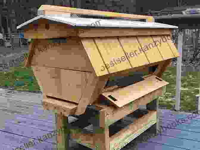 Image Of A Top Bar Hive In A Natural Setting The Thinking Beekeeper: A Guide To Natural Beekeeping In Top Bar Hives (Mother Earth News For Wiser Living)