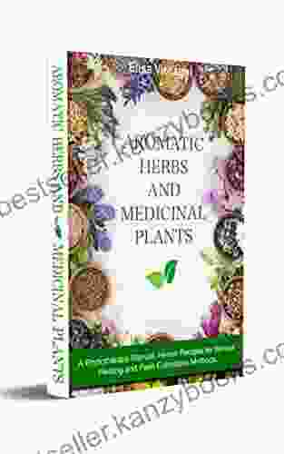 AROMATIC HERBS AND MEDICAL PLANTS: A Phytotherapy Manual Herbal Recipes For Natural Healing And Plant Cultivation Methods