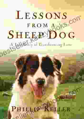 Lessons From A Sheep Dog: A True Story Of Transforming Love