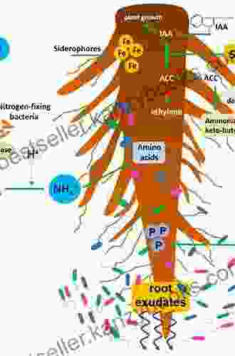 Plant Growth Promoting Rhizobacteria (PGPR) And Medicinal Plants (Soil Biology 42)