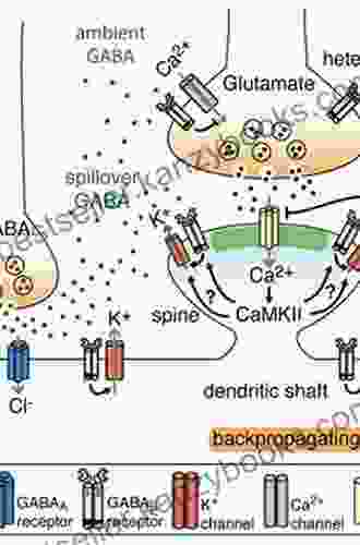 Extrasynaptic GABAA Receptors (The Receptors 27)